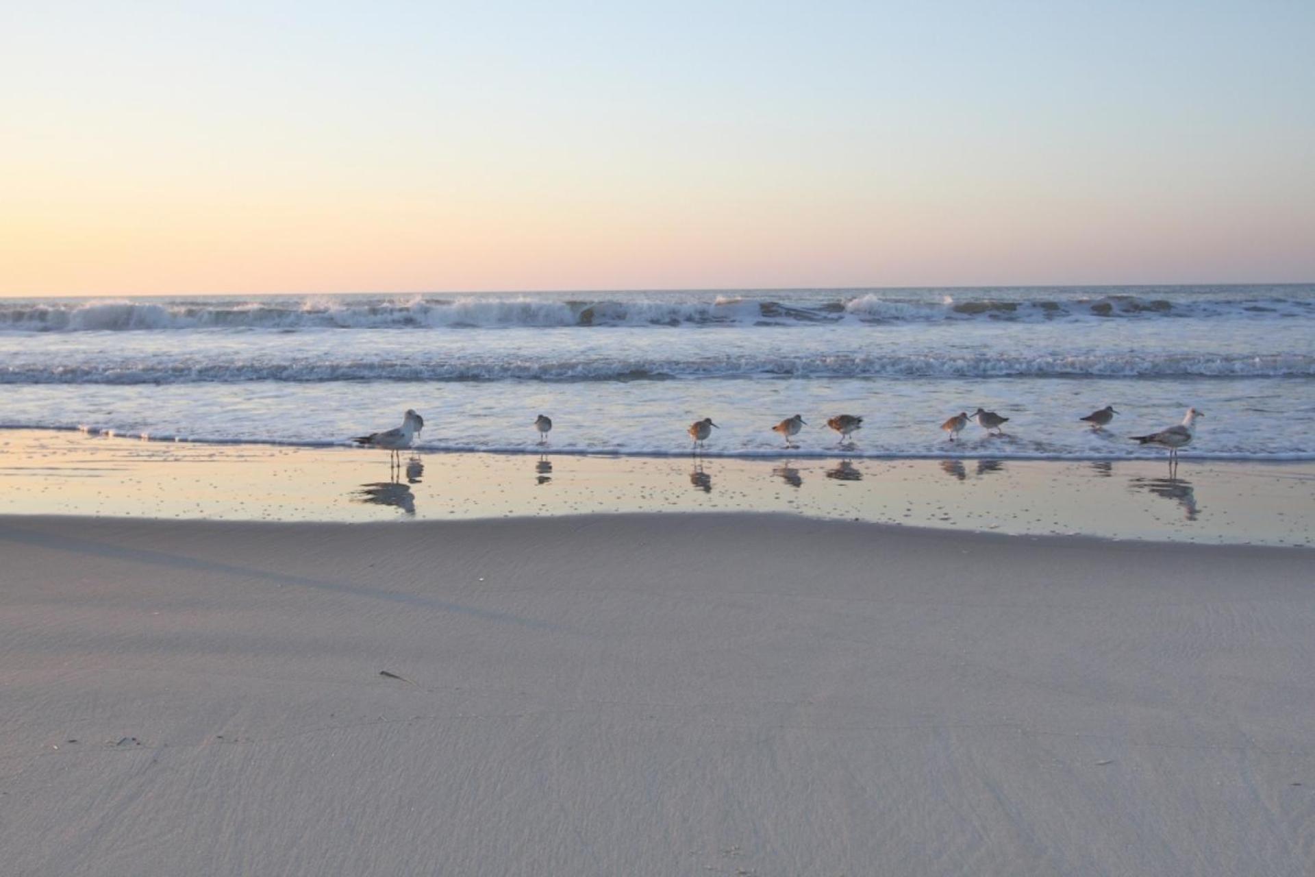 Relax, Renew, Retreat Villa Kiawah Island Esterno foto