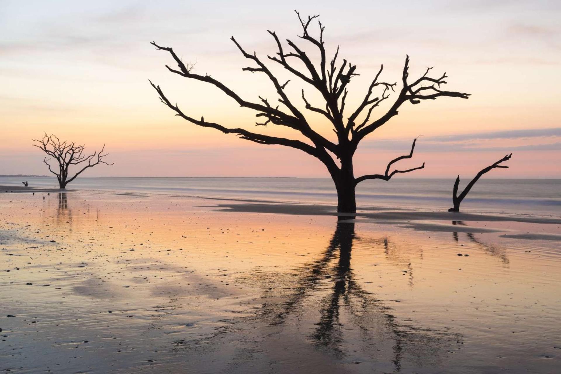 Relax, Renew, Retreat Villa Kiawah Island Esterno foto